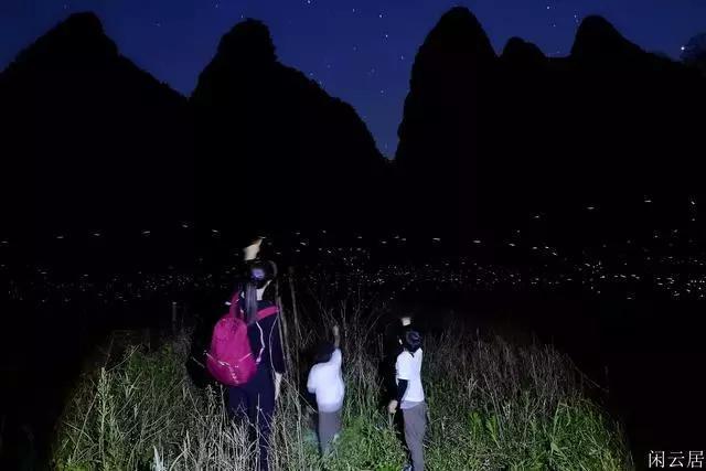体育生做早操总结350字怎么写？